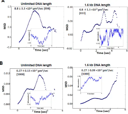 Figure 10: Computer simulations of diffusion by modeling random walk of proteins on a 1-D 