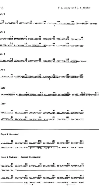 FIGURE 3.-DNA The DNA bases deleted are indicated by underlining. The identity base deletions and complex frameshifts