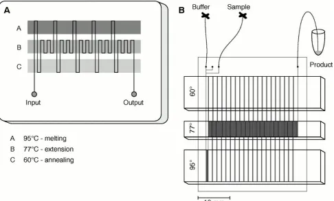 Figure 1. Schematic diagram of continuous-flow PCR chip: (device and one outlet on the right: with only two inlets are used to inject both the sample and buffer