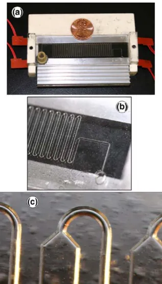 Figure 2 (a) The continuous-flow thermal gradient PCR chip. (b) The serpentine channel has a linear 