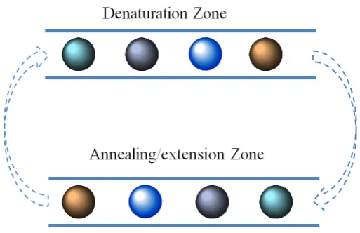 Figure 3. An illustration of microfluidic PCR in droplets: the PCR mixture is contained in discrete droplets, 