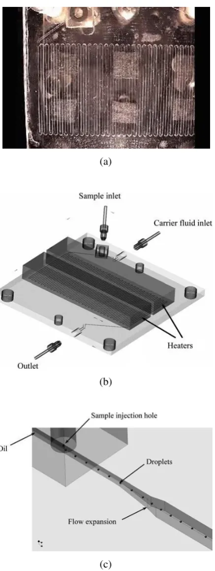 Figure 4. (a) The continuous-flow microPCR chip with PCR sample and reagents contained in droplets