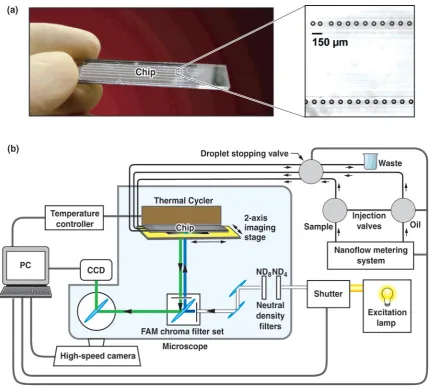 Figure 5. Schematic diagram of the on-chip RT-PCR device: (a) the fused-silica device with an inset of 