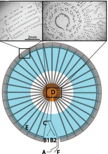 Figure 7. The schematic diagram of the radial PCR device. The carrier fluid oil is injected at the inlet A and 