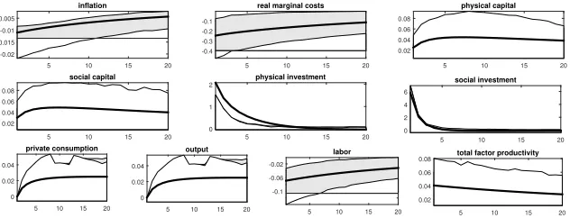 Figure 1: Impulse response functions for a positive productivity shock