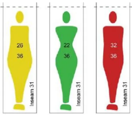 Figure 5. Faust's potential size labeling with facing silhouette and measurements.  Source: Faust & Carrier, 2010, p