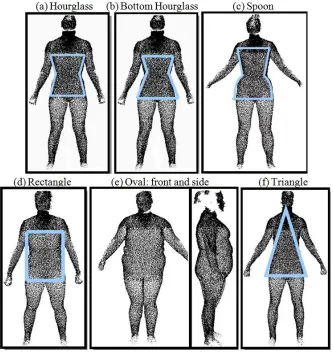Figure 6. Body shapes divided by FFIT©Source: .  Simmons, 2003. pp. 107, 113, 116, 121, & 124