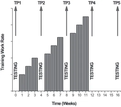 Figure 1: Timeline representing training and testing time points, and illustrating relative work rates during