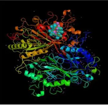 Fig. 1. 3-D Protein Structure 