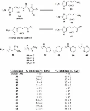 Figure 17. Preliminary Inhibition Data at 500 µM. All values are averages of at least experiments