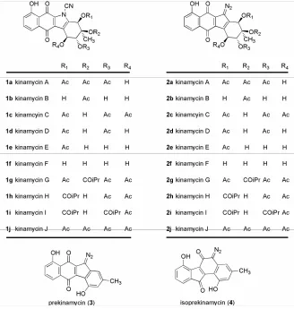 Figure 1. Representative Kinamycins: Original (left), Revised (right). 