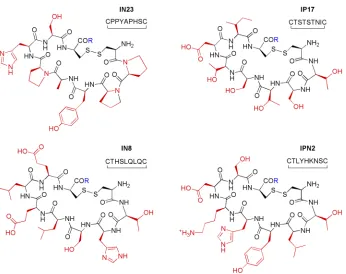 Figure 5. Cyclic peptides identified through phage display selection. 