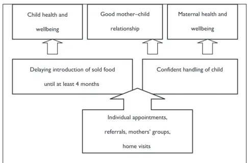 Figure 2.  Logic Model Showing Simultaneous Causal Strands