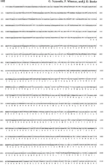 FIGURE 5 . S P T 2 1  dicted  protein  sequence. The DNA and  pre- DNA 