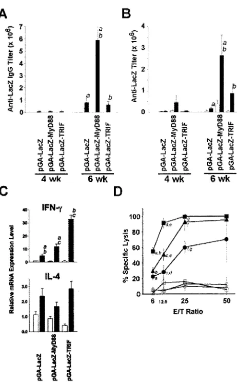 FIG. 2. MyD88 enhances humoral immunity, whereas TRIF en-hances cellular immunity. (A and B) Five mice/group were immunized