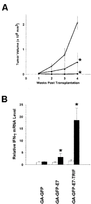 FIG. 5. TRIF increases the protective activity of a tumor-associ-ated antigen E7-encoding DNA vaccine