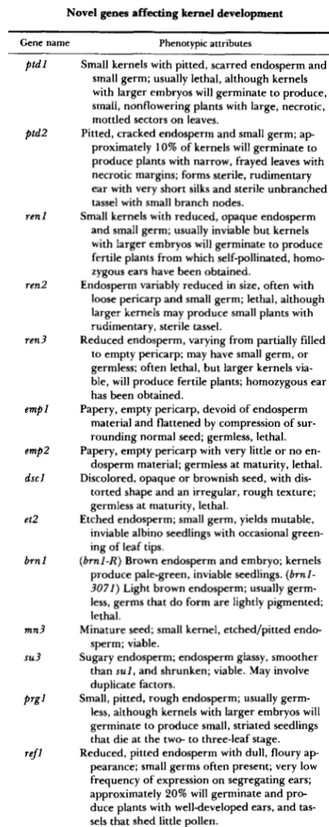 TABLE 2 TABLE Kernel  phenotypes 3 