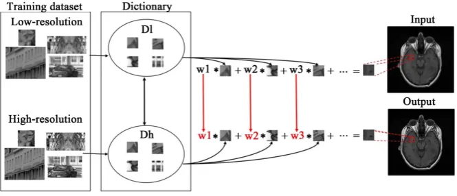 Figure 1. Overview of the sparse-coding super-resolution (ScSR) scheme. Abbreviations: Dl, low-resolution dictionary; Dh, high-resolution dictionary; w1/2/3∙∙∙, coefficients of the sparse representation