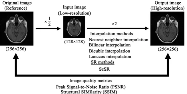 Figure 4 and Figure 5 show the PSNRs and SSIMs, respectively, of the five    