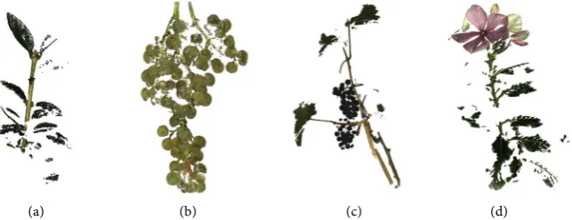 Figure 1. The first scan (a) shows a plant stalk with leaves. It serves as baseline, as the shapes of stalk and leaves can be expected to be easy to distinguish