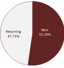 Figure 2 Figure 8: New vs. Returning 