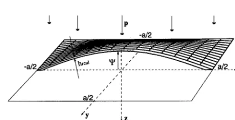 Fig. 1. Let the displacement components of a material point of the shell in the x, y, and z directions be denoted by u, v, and w, respectively