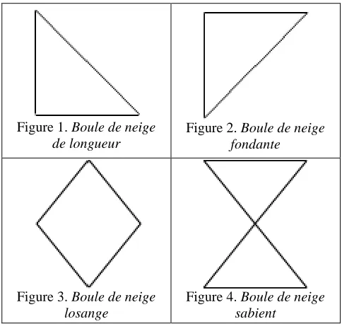 Figure 1.  Boule de neige de longueur 