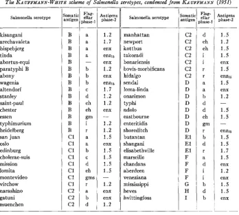 TABLE 1 The KA UFFMANN-WHITE - scheme of Salmonella serotypes, 