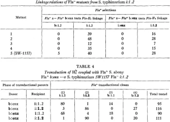 TABLE 3 Linkage relations of Fla- mutantsfrow S. typhimurium i:l.2 