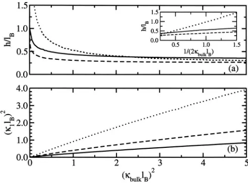 FIG. 2. The surface tension as predicted by the variational theory: �thin lines give the result wheni� �=0.0 �solid line�, �ii� �=0.5 �dashed line�, and �iii� �=1.0 �dotted line�