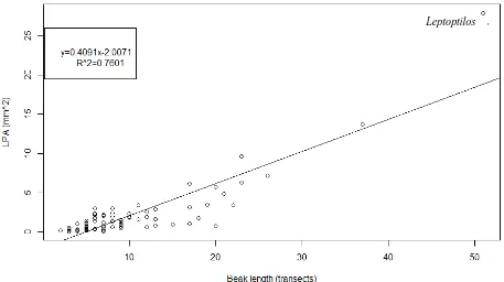 Figure 8. Beak length vs. LPA in birds. As beak length increases there is a linear increase in LPA