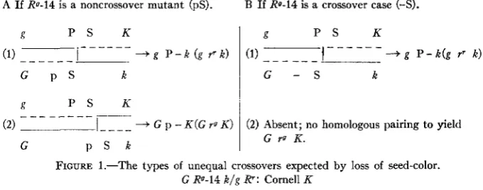 FIGURE 1.-The 