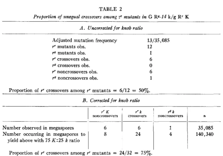 TABLE 3 