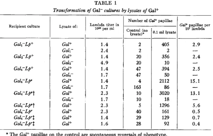 TABLE 1 $ Gal- cdlures 