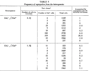 TABLE 5 segregation from 
