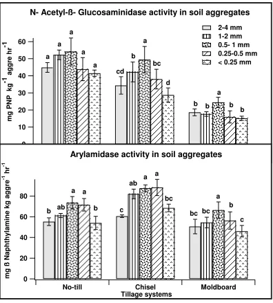 Figure 1.  Activities of enzymes involved in aminization phase of N mineralization process in soil aggregates of three different tillage systems