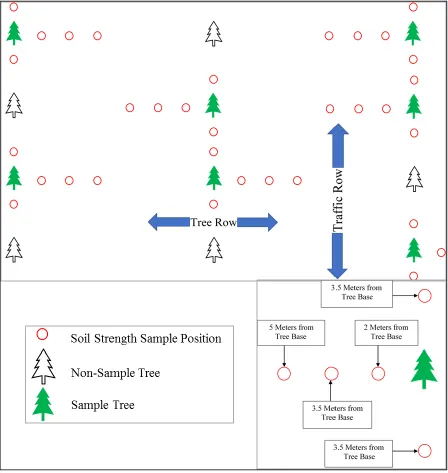 Figure 1. 3.  Example of sampling in part of an orchard illustrating the location of tree and 