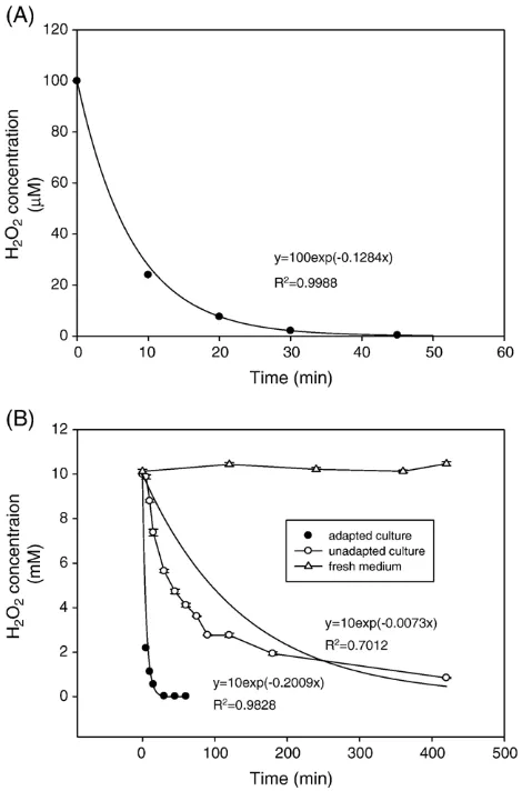 Fig. 4. Effect of HO▪10022 addition on the GSH and GSSG in batch cultures of A. niger B1-D