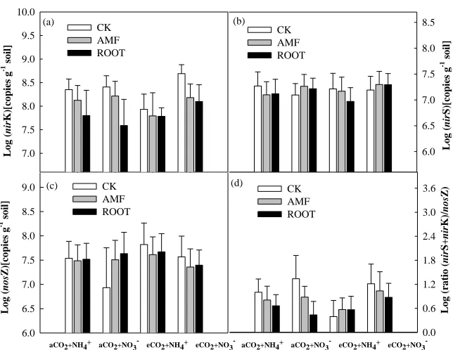 Fig. 2.6 Effects of CO2 concentrations, plant roots and AMF on abundances and the ratio of denitrification 