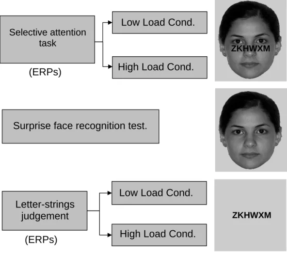 Figure 1. Sequence of the task in the paradigm used: Stage 1. Selective attention task; Stage 2