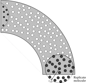 Figure 6.An example of a non-parallel, separated boundary. This could represent either a 90◦ bend in a channel where molecules are‘recycled’ from inlet to outlet