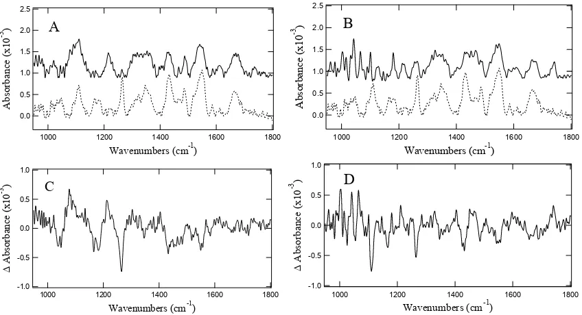 Figure 5.  PM-IRRAS spectra of a monolayer of PBA exposed (solid) or not exposed 