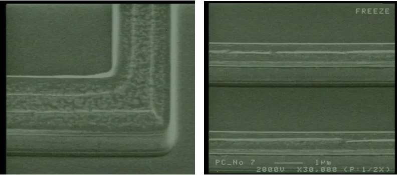 Fig 3-2. Examples of metal lines with polymer residuals post metal etch and O2 ash prior to deveil processing