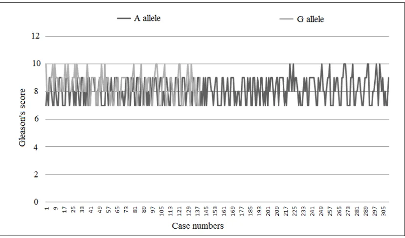 Fig. 3. Boxplot showing the distribution of Gleason’s score between the II and VV allele in the prostate cancer patients  