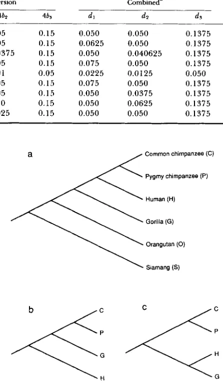 TABLE 5 , a chimpanzee Common  