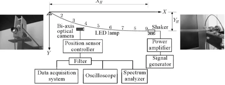 Fig. 1. Schematic view of cable model and experimental setup with support details