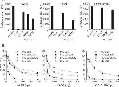FIG. 3. SEMQ mutant Vif in cisHIV-1 Luc, SEMQ mutant HIV-1 Vif Luc, and(middle), and D128K mutant hA3G (right)