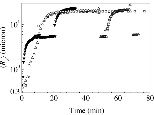 Figure 4 Examples of the time evolution of the radius of gyration  changes of the stirring speed measured for a solid volume fraction equal to 4〈Rg〉 during step ×10-5; (̊) 200 rpm, (r) 1073 – 200 rpm, (u) 200 – 1073 – 200 – 1073 rpm 