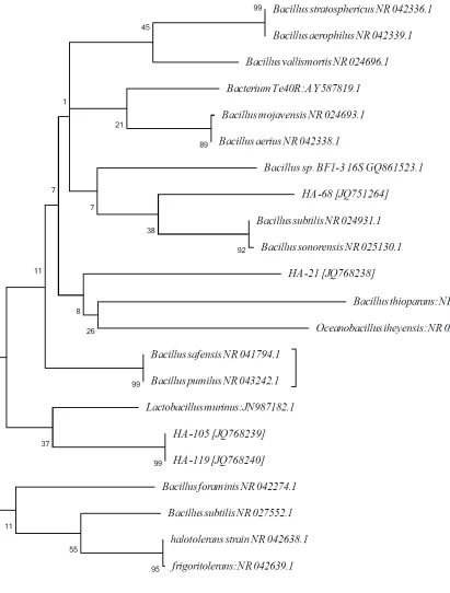 Figure 7. Molecular phylogenetic anaylsis by Maximum Likelihood method. The evolutionary history was inferred by using the Maximum Likelihood method based on the Tamura-Nei model [35,36]