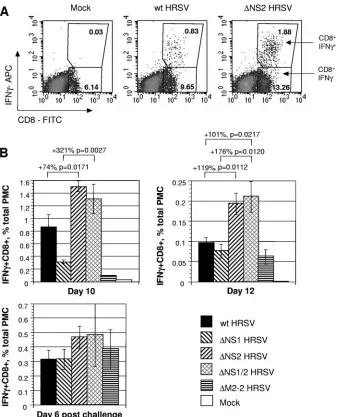 FIG. 3. Analysis of the pulmonary HRSV-speciﬁc CTL response in BALB/c mice by intracellular IFN-�PFU of wt HRSV